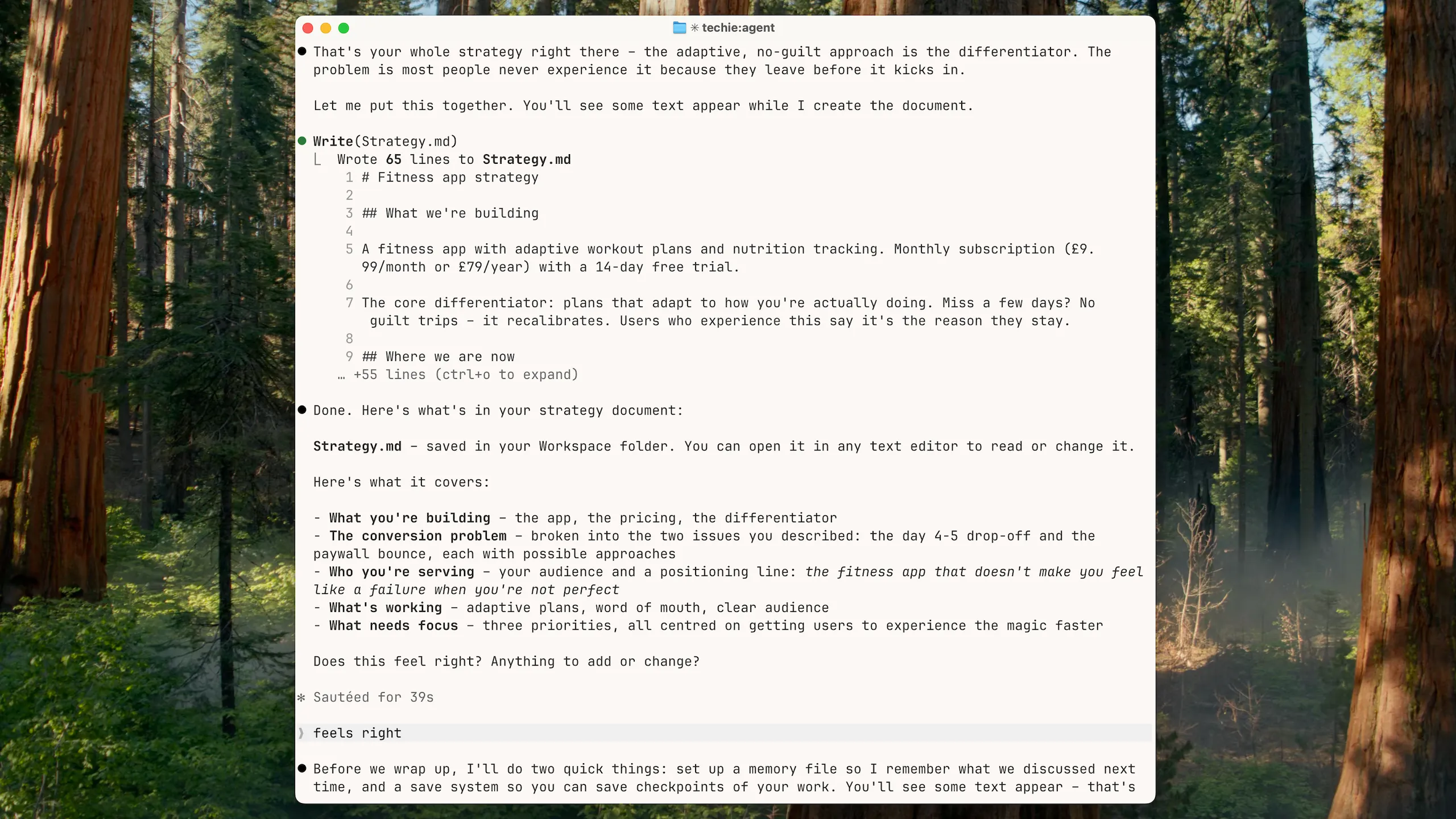Strategy document created, memory set up