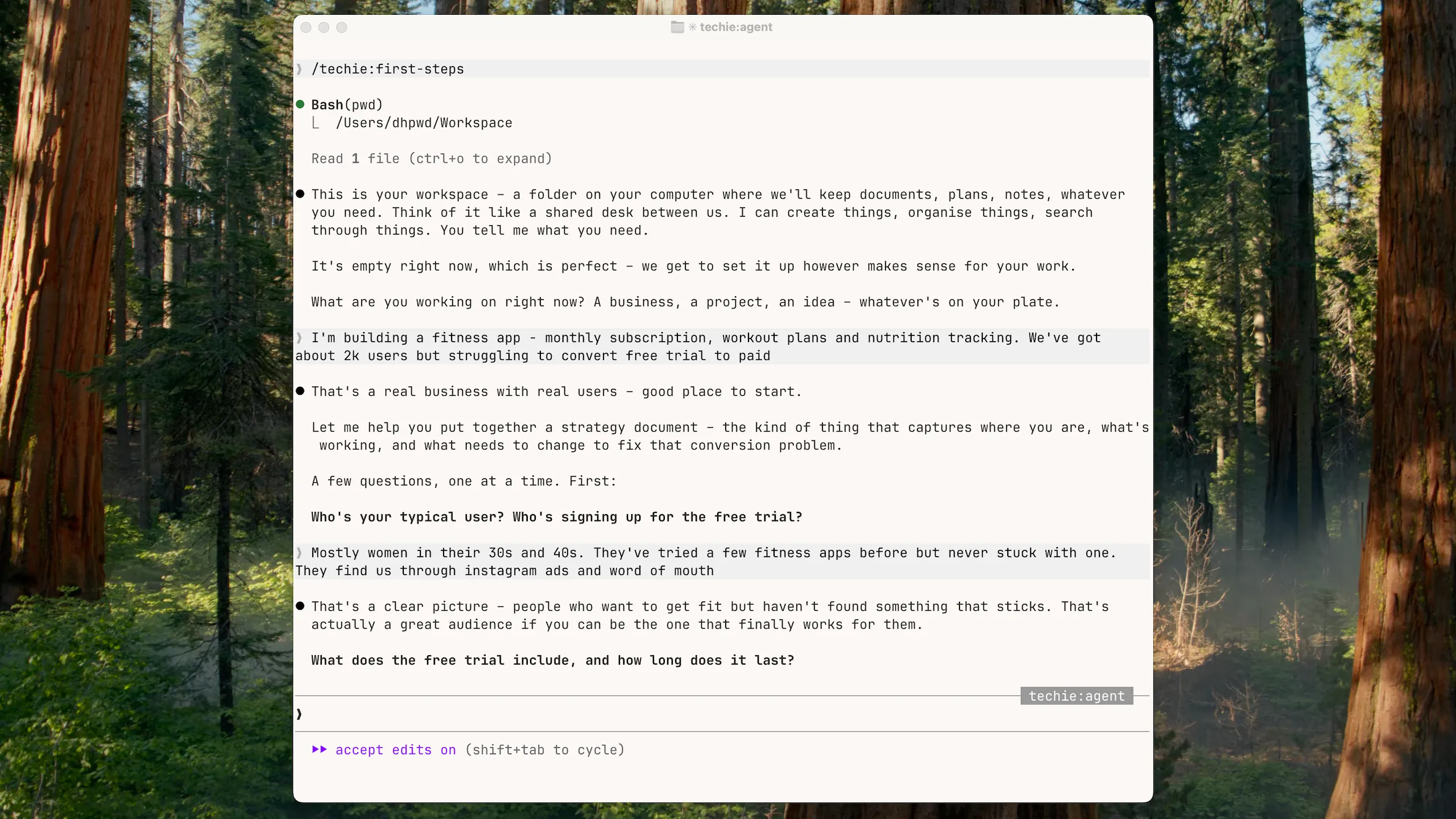 Techie asking questions during /first-steps
